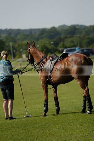 Lost Boys Cowdray Vikings in the Jaeger Le Coultre Duke of Sutherland Cup Subsidiary Final Polo match 2013.06.06