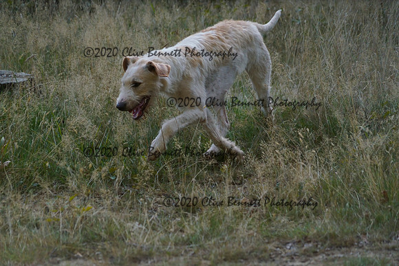 _CAB7959