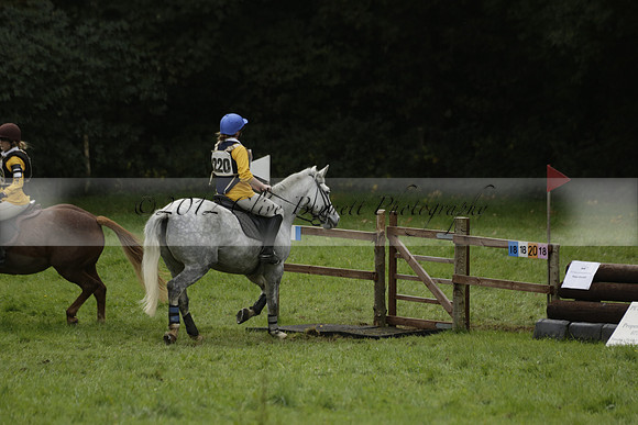 Chiddingfold, Leconfield and Cowdray Hunt, Hunter Trials at Iping on Sunday 20 October 2013. 2013.10.20 www.polopictures.co.uk