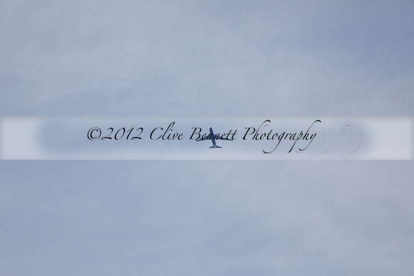 _CB_4283