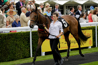 Race 6 Goodwood The British Stallion Studs Turf Club E.B.F. Fillies Stakes. 20130731. Race winner Ribbons owner Elite Racing Club