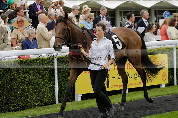 Race 6 Goodwood The British Stallion Studs Turf Club E.B.F. Fillies Stakes. 20130731. Race winner Ribbons owner Elite Racing Club
