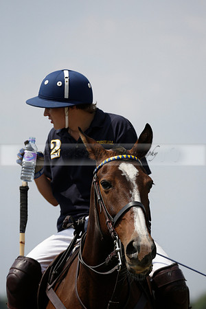Silver Fox v Wintershall in a July 4 Goal Polo match 2013.07.17