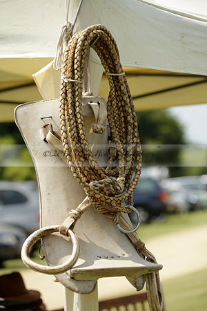 Zacara v Les Lions in a Veuve Clicquot Gold Cup Polo Match 2013.07.06