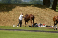 Lucchese v Enigma in a Veuve Clicquot Gold Cup Polo Match 2013.07.14