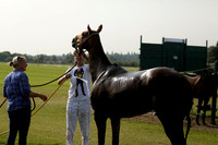 Governors v Jaeger Le Coultre Wintershall in a Texaco Trophy Polo match 2013.07.12