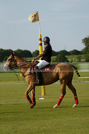 Shoreline v Cowdray Vikings in a Easebourne Cup Semi-final Polo match 2013.06.07