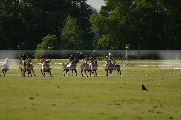 Shoreline v Cowdray Vikings in a Easebourne Cup Semi-final Polo match 2013.06.07