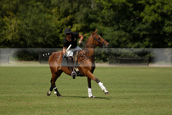 Deloitte v Knightsbridge in the -5 Goal Final at The Pro-Am City Polo Championships on Sunday 1 September 2013 at Ascot Park Polo Club. www.polopictures.co.uk