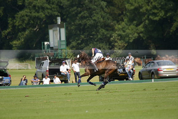 Zacara v Les Lions in a Veuve Clicquot Gold Cup Polo Match 2013.07.06
