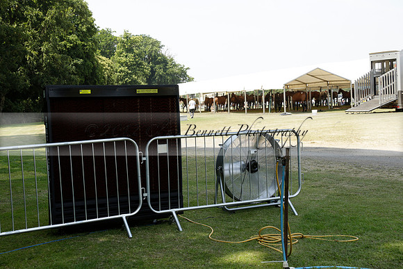 Zacara v Talandracas in a Veuve Clicquot Gold Cup Polo Match 2013.07.18