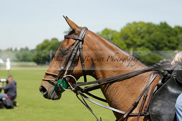 Black Bears v Salkeld in a Cartier Queens Cup polo match 2013.06.05