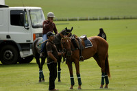 Madams Farm v Las Estrellas in the June 4 Goal Subsidiary Final Polo match 2013.06.16