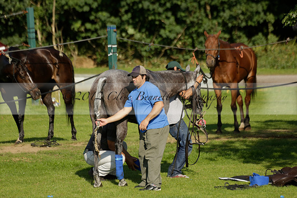 El Remanso v Emlor in a Veuve Clicquot Gold Cup Polo Match 2013.06.30