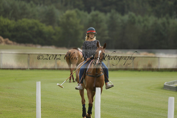 Beau Design v Boscom in an August Rother Cup 4 goal polo match at Cowdray Park Polo Club on Wednesday 07 August 2013