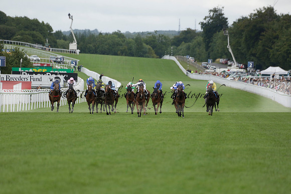 Race 6 Goodwood The British Stallion Studs Turf Club E.B.F. Fillies Stakes. 20130731. Race winner Ribbons owner Elite Racing Club