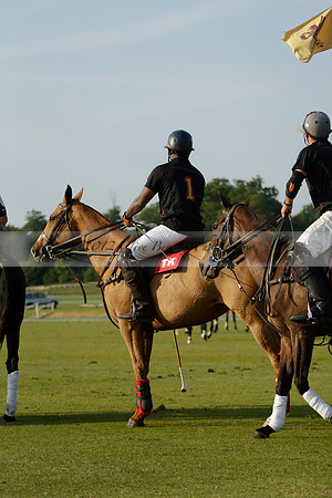 Shoreline v Cowdray Vikings in a Easebourne Cup Semi-final Polo match 2013.06.07