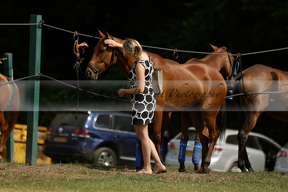 El Remanso v Sumaya in a Veuve Clicquot Gold Cup Polo Match 2013.07.13