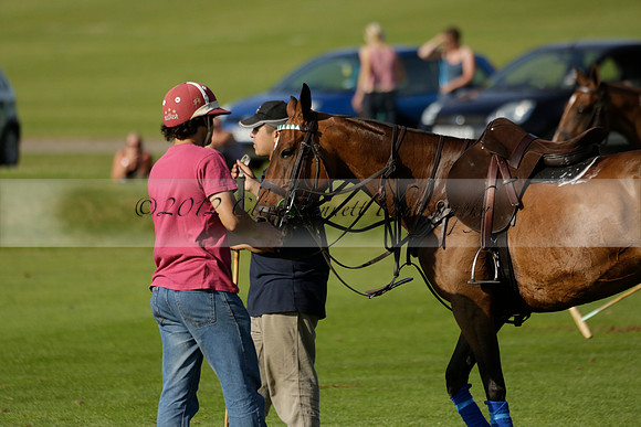 El Remanso v Emlor in a Veuve Clicquot Gold Cup Polo Match 2013.06.30