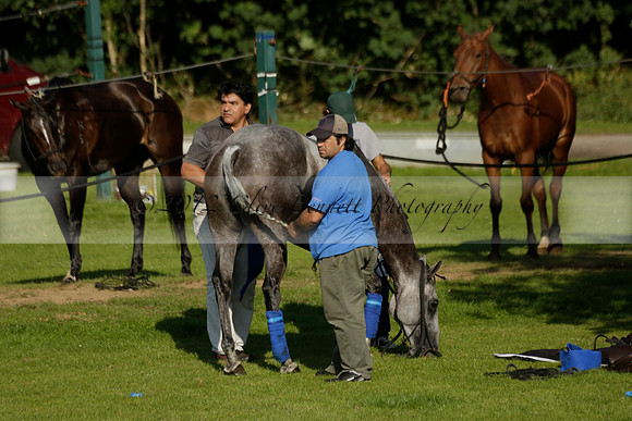 El Remanso v Emlor in a Veuve Clicquot Gold Cup Polo Match 2013.06.30