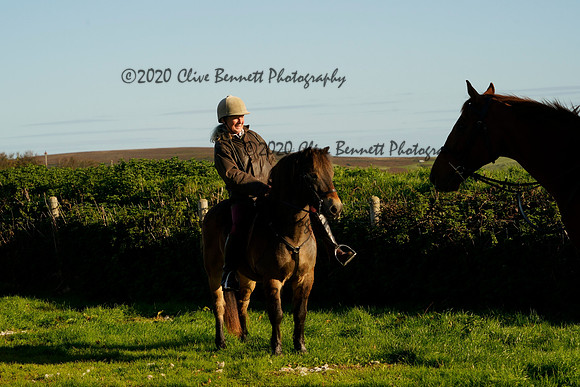 _CAB4137
