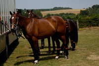 Silver Fox v Wintershall in a July 4 Goal Polo match 2013.07.17