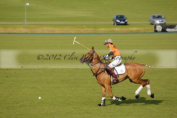 Shoreline v Cowdray Vikings in a Easebourne Cup Semi-final Polo match 2013.06.07