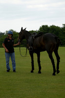 Maiz Dulce v Four Quarters Black in a Benson Cup Polo match 2013.06.19