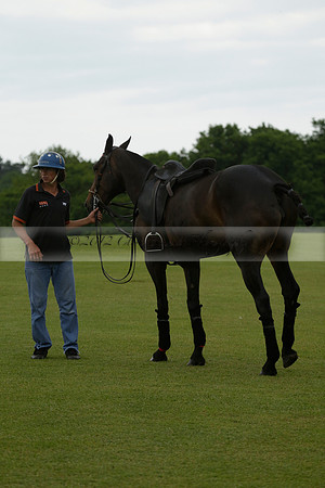 Maiz Dulce v Four Quarters Black in a Benson Cup Polo match 2013.06.19
