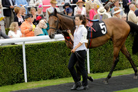 Race 6 Goodwood The British Stallion Studs Turf Club E.B.F. Fillies Stakes. 20130731. Race winner Ribbons owner Elite Racing Club