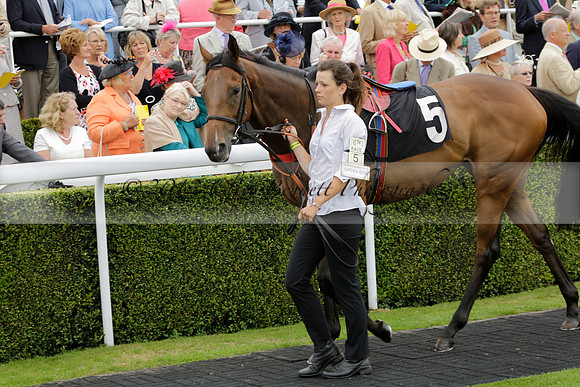 Race 6 Goodwood The British Stallion Studs Turf Club E.B.F. Fillies Stakes. 20130731. Race winner Ribbons owner Elite Racing Club