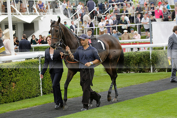 Race 6 Goodwood The British Stallion Studs Turf Club E.B.F. Fillies Stakes. 20130731. Race winner Ribbons owner Elite Racing Club