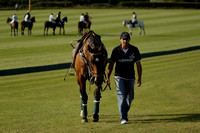 Combe v Pluma Negra / 4H in a July 4 Goal Polo match 2013.07.08