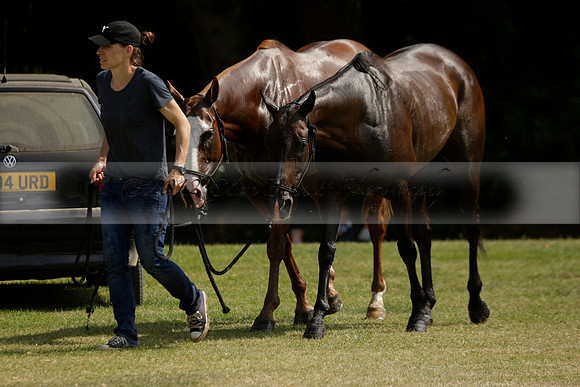 El Remanso v Sumaya in a Veuve Clicquot Gold Cup Polo Match 2013.07.13