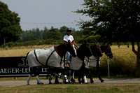 Silver Fox v Wintershall in a July 4 Goal Polo match 2013.07.17