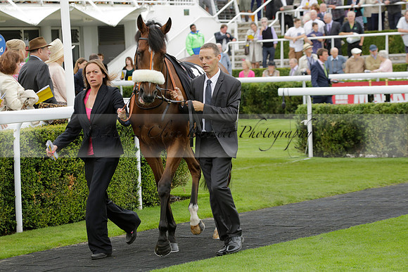 Race 6 Goodwood The British Stallion Studs Turf Club E.B.F. Fillies Stakes. 20130731. Race winner Ribbons owner Elite Racing Club