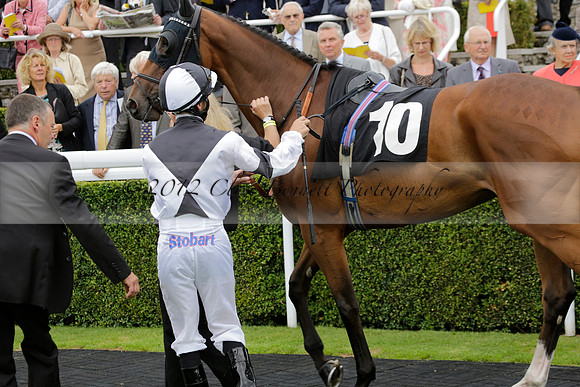 Race 6 Goodwood The British Stallion Studs Turf Club E.B.F. Fillies Stakes. 20130731. Race winner Ribbons owner Elite Racing Club