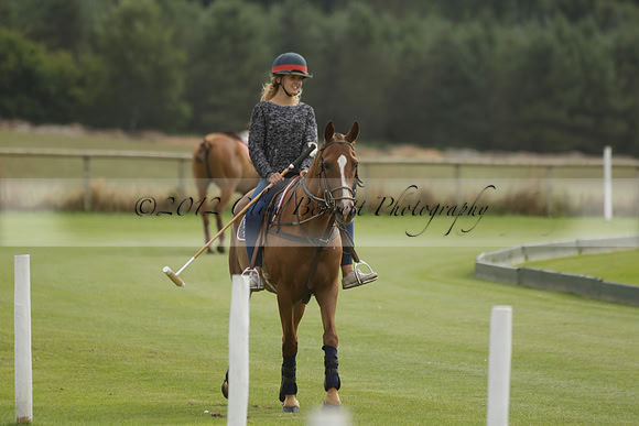 Beau Design v Boscom in an August Rother Cup 4 goal polo match at Cowdray Park Polo Club on Wednesday 07 August 2013