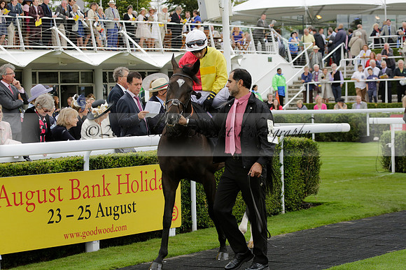 Race 6 Goodwood The British Stallion Studs Turf Club E.B.F. Fillies Stakes. 20130731. Race winner Ribbons owner Elite Racing Club