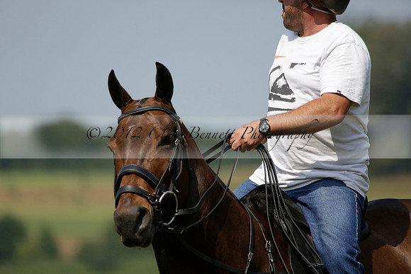 Zacara v Les Lions in a Veuve Clicquot Gold Cup Polo Match 2013.07.06