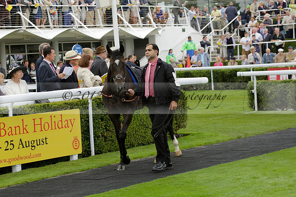 Race 6 Goodwood The British Stallion Studs Turf Club E.B.F. Fillies Stakes. 20130731. Race winner Ribbons owner Elite Racing Club