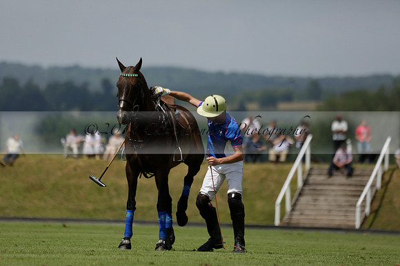 UAE Polo v El Remanso in a Veuve Clicquot Gold Cup Polo Match 2013.07.05