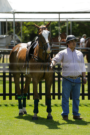 Black Bears v Salkeld in a Cartier Queens Cup polo match 2013.06.05