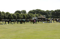 Les Lions v Salkeld in a Veuve Clicquot Gold Cup Polo Match 2013.07.11