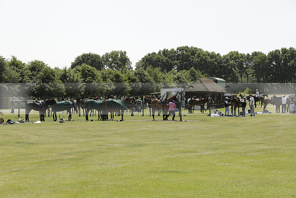 Les Lions v Salkeld in a Veuve Clicquot Gold Cup Polo Match 2013.07.11