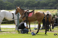 Burningfold (blue) v Wairakei Pastoral (green) in the Ruins Cup Final on Sunday 04 August 2013.
