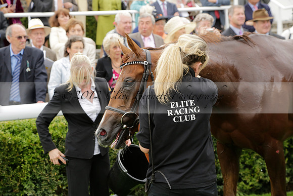 Race 6 Goodwood The British Stallion Studs Turf Club E.B.F. Fillies Stakes. 20130731. Race winner Ribbons owner Elite Racing Club
