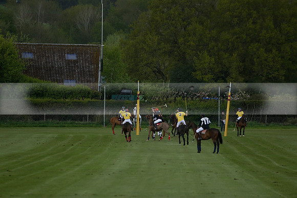 Las Estrellas v Shoreline in a May 4 Goal Spring Cup Polo match 2013.05.15