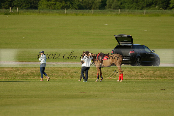 Shoreline v Cowdray Vikings in a Easebourne Cup Semi-final Polo match 2013.06.07