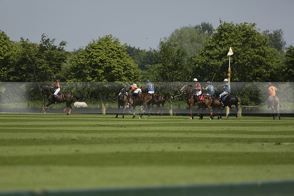 Four Quarters Orange v Montana in a Cicero Cup Polo match 2013.06.06